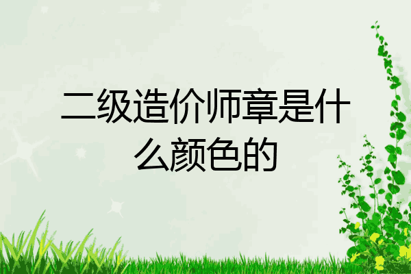 二级造价师章是什么颜色的
