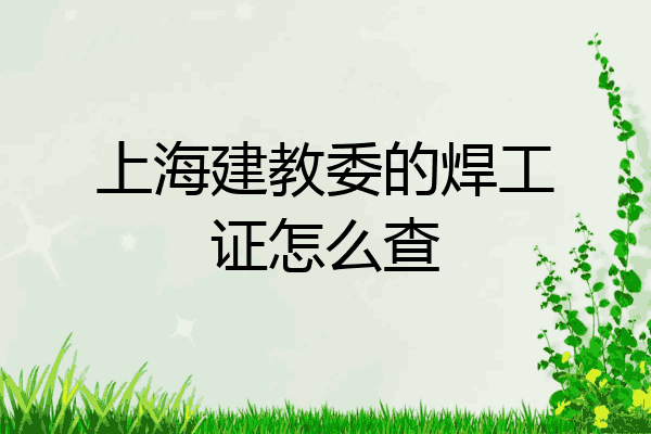 上海建教委的焊工证怎么查
