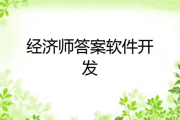 经济师答案软件开发