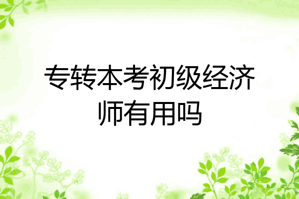 专转本考初级经济师有用吗