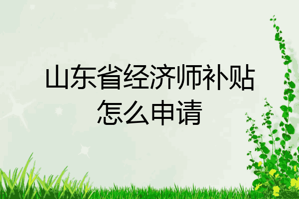 山东省经济师补贴怎么申请