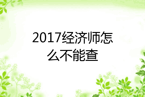 2017经济师怎么不能查