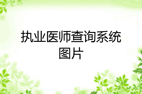 执业医师查询系统图片