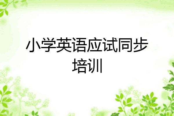 小学英语应试同步培训