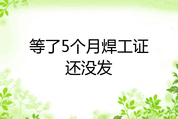 等了5个月焊工证还没发