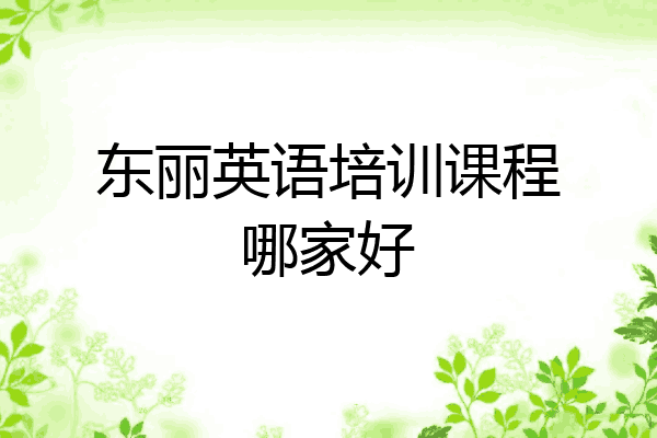 东丽英语培训课程哪家好