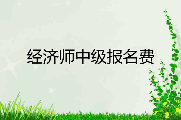 经济师中级报名费