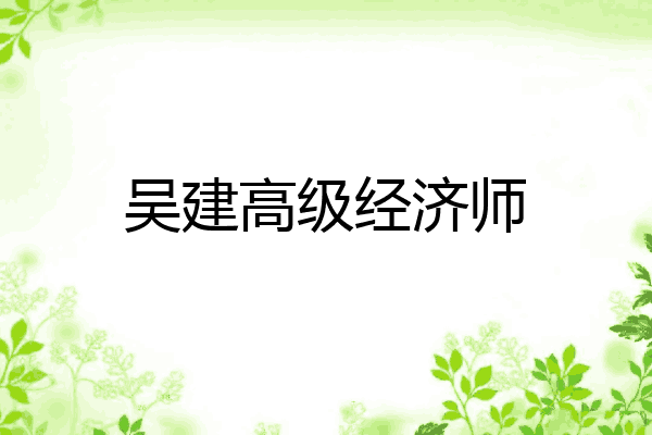 吴建高级经济师