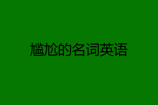 尴尬的名词英语