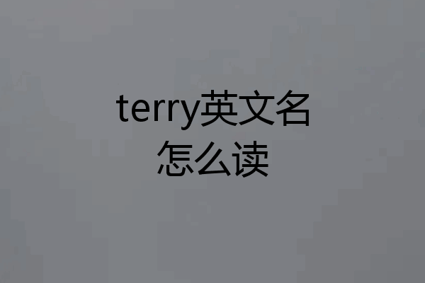terry英文名怎么读
