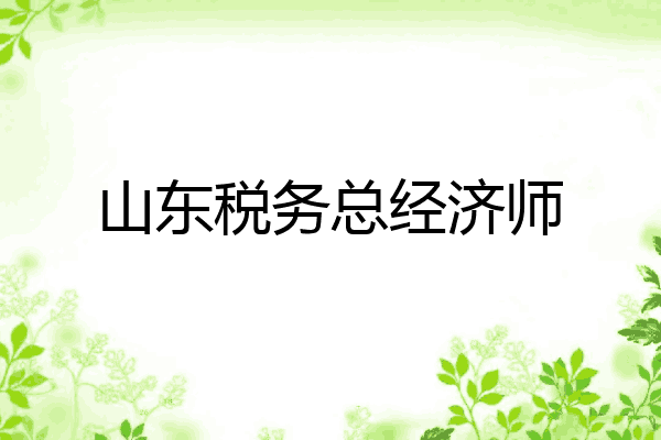 山东税务总经济师