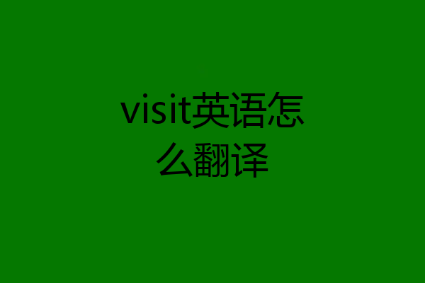visit英语怎么翻译