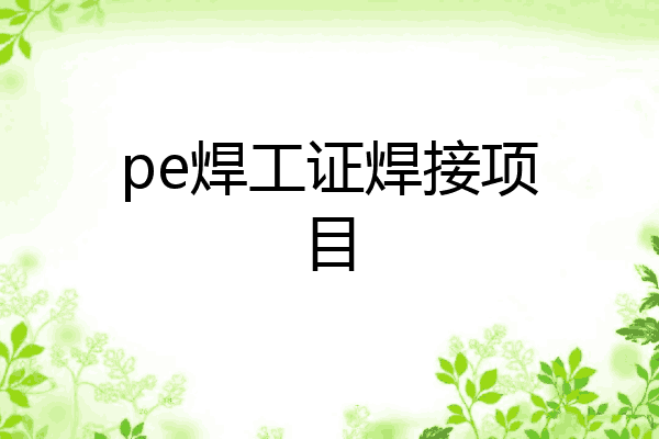 pe焊工证焊接项目