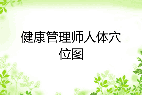 健康管理师人体穴位图
