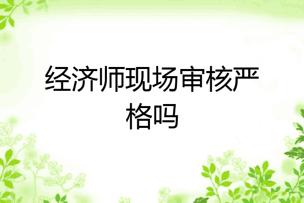 经济师现场审核严格吗