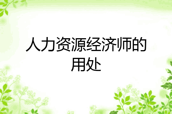 人力资源经济师的用处