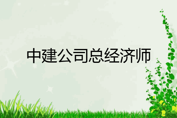 中建公司总经济师