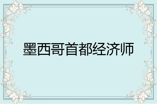 墨西哥首都经济师