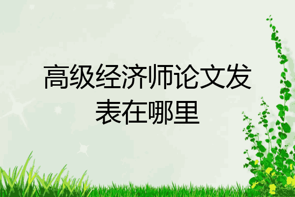 高级经济师论文发表在哪里