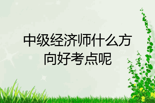 中级经济师什么方向好考点呢