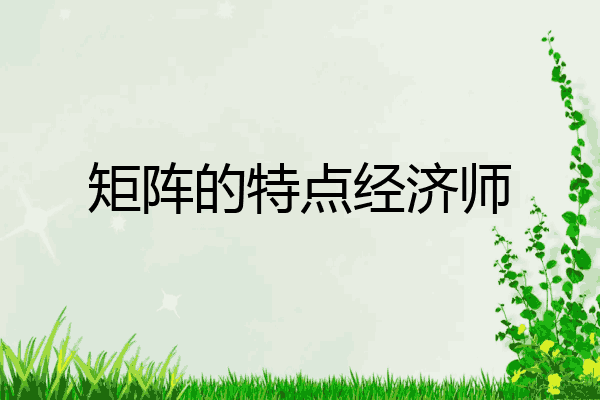 矩阵的特点经济师