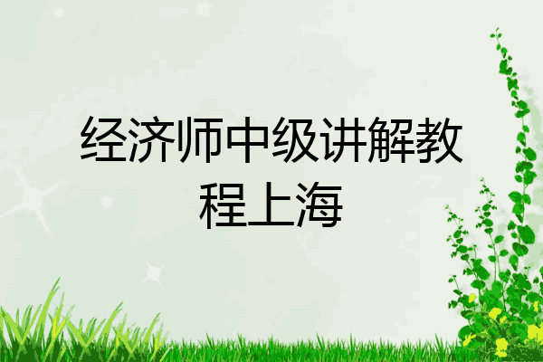 经济师中级讲解教程上海