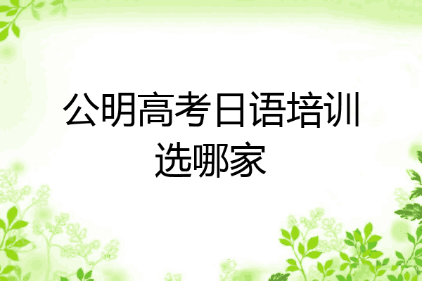 公明高考日语培训选哪家