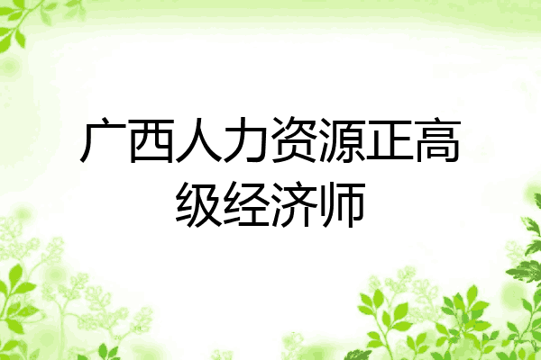 广西人力资源正高级经济师