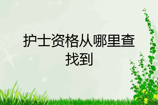 护士资格从哪里查找到