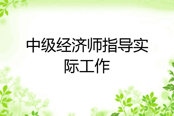 中级经济师指导实际工作