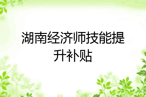 湖南经济师技能提升补贴