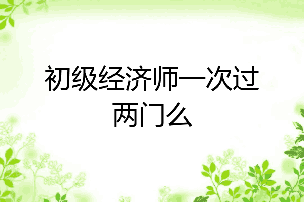 初级经济师一次过两门么