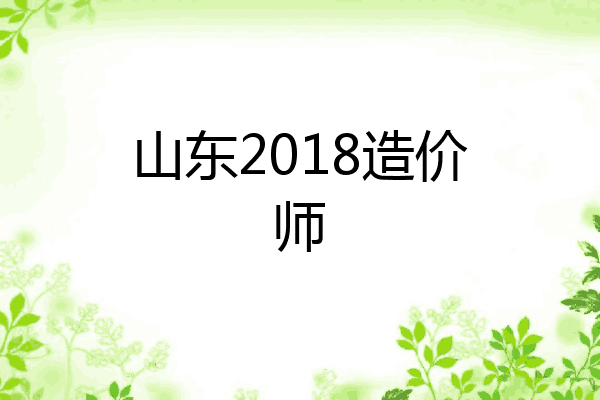 山东2018造价师