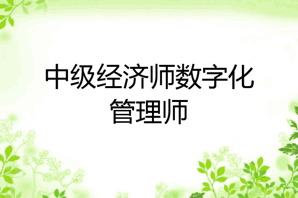 中级经济师数字化管理师
