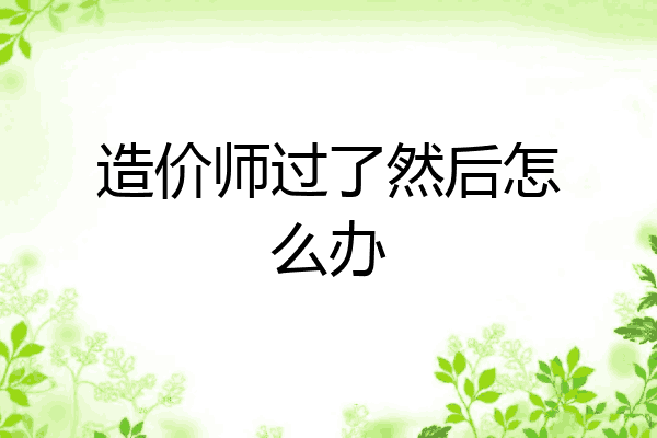 造价师过了然后怎么办