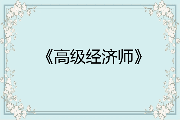 《高级经济师》