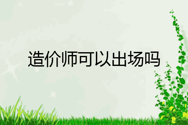 造价师可以出场吗