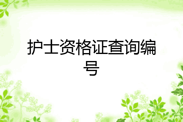 护士资格证查询编号