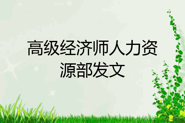 高级经济师人力资源部发文