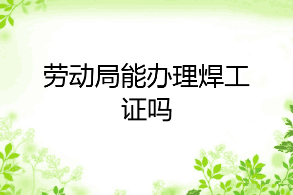 劳动局能办理焊工证吗