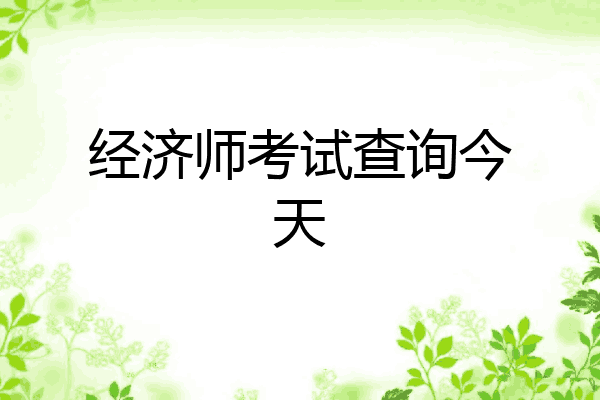 经济师考试查询今天