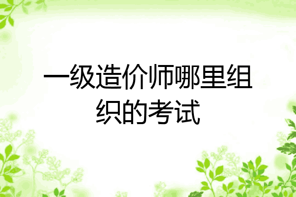 一级造价师哪里组织的考试
