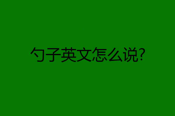 勺子英文怎么说?