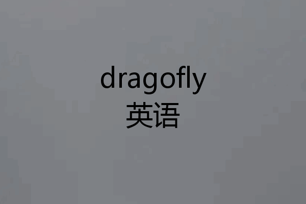 dragofly英语