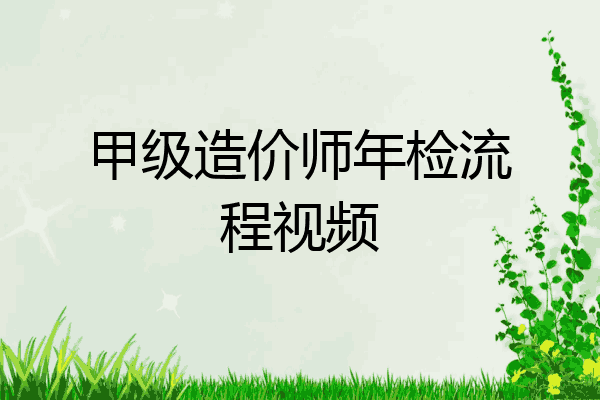 甲级造价师年检流程视频