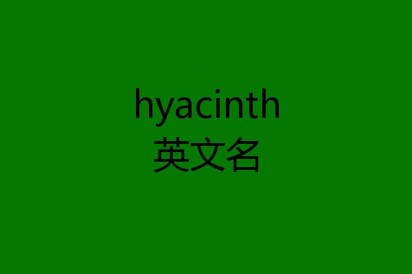 hyacinth英文名