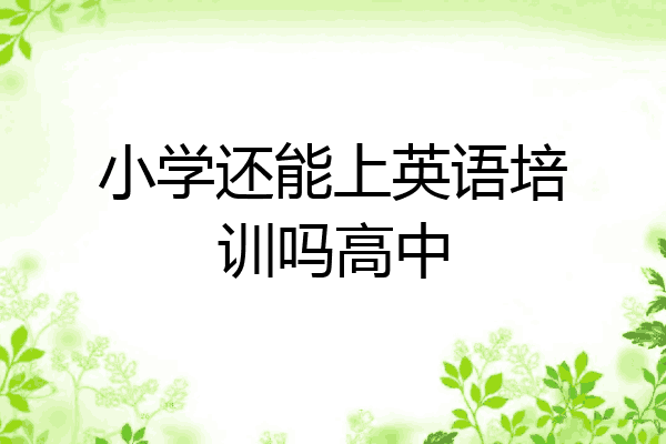 小学还能上英语培训吗高中