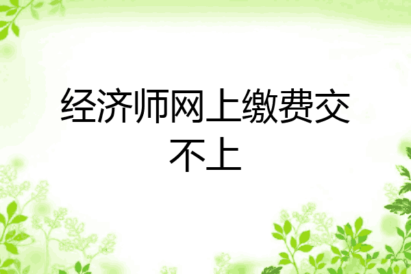 经济师网上缴费交不上