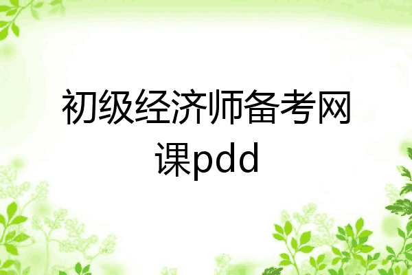 初级经济师备考网课pdd