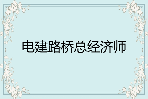 电建路桥总经济师